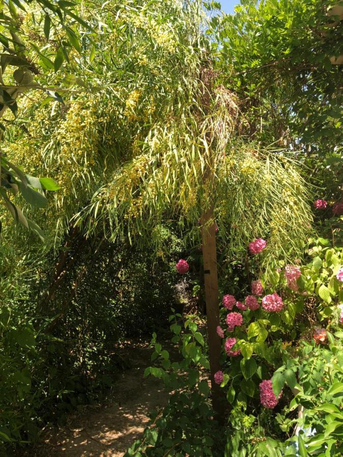 L Atypique Bed & Breakfast L'Ile-d'Olonne Eksteriør bilde
